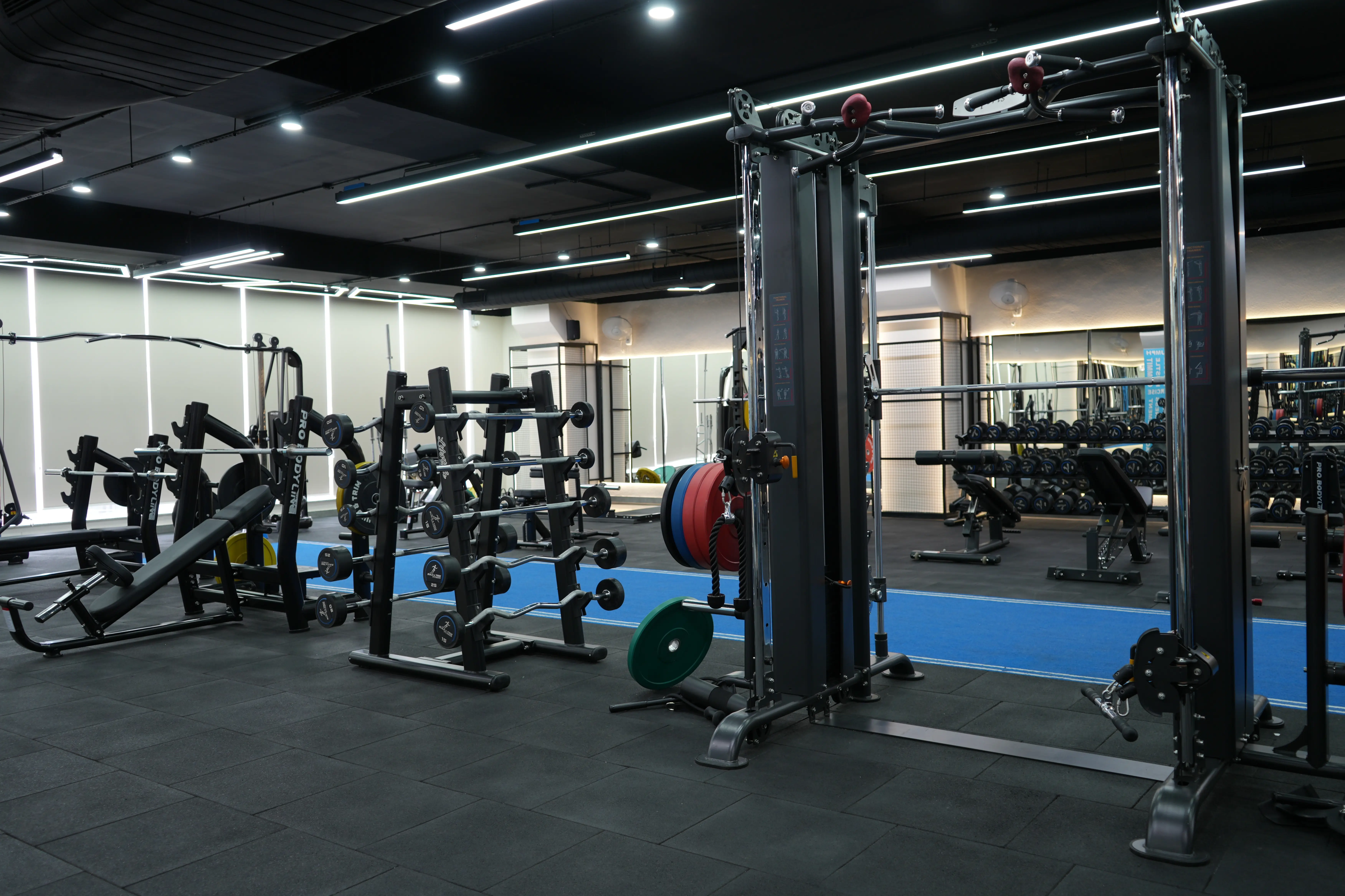 Workout Area