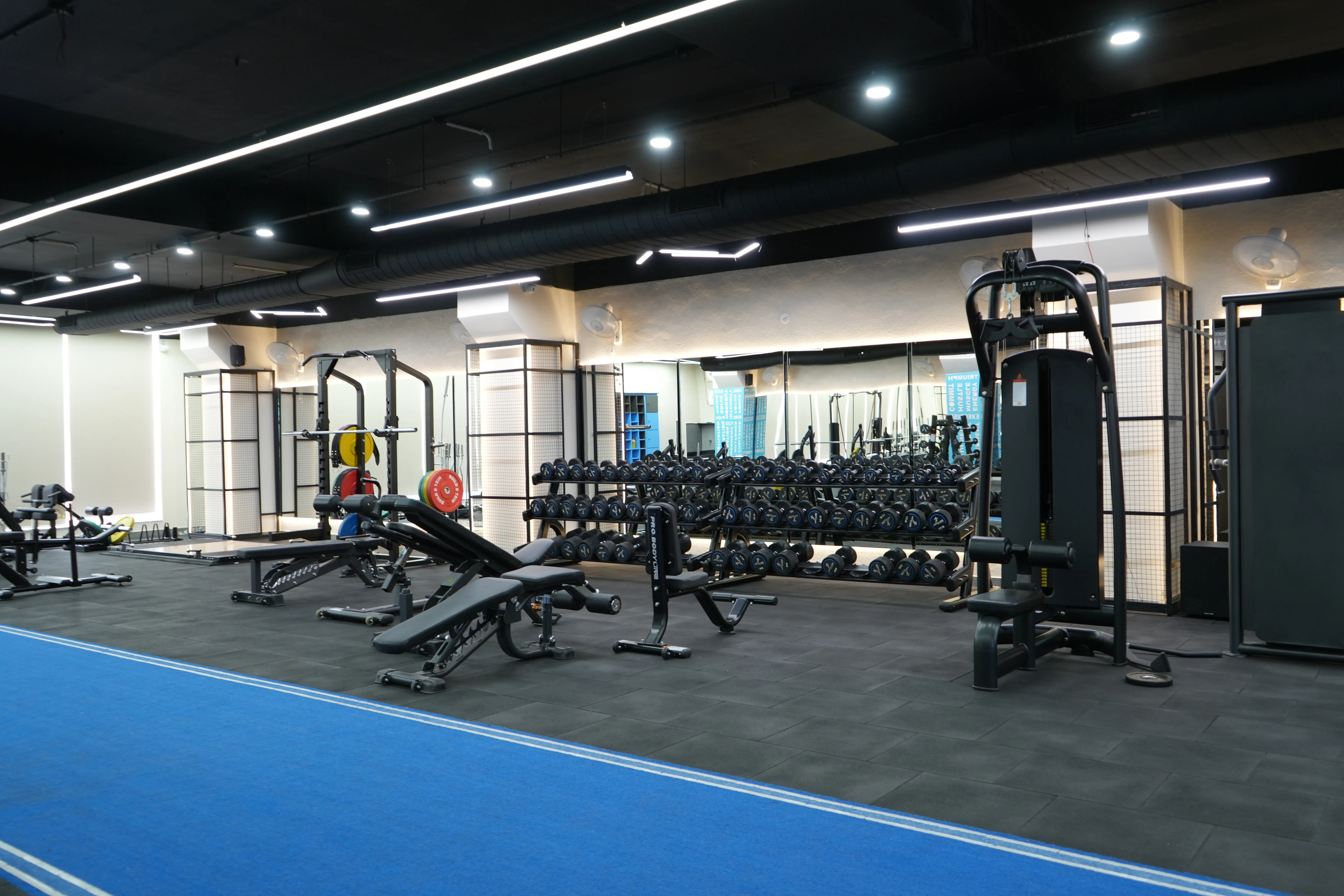 Build & Trim Equipment